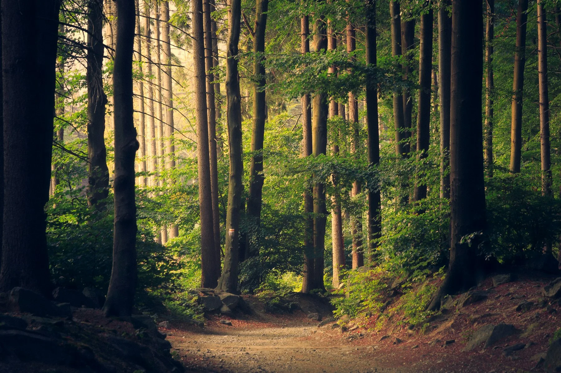 Hike & Bike in Abbotsford, British Columbia